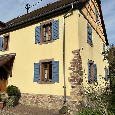 Gite La Maison De Jules Muntzenheim Eksteriør bilde