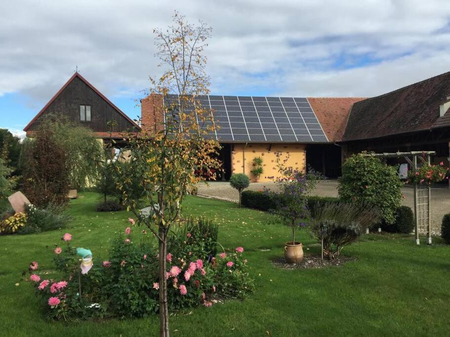 Gite La Maison De Jules Muntzenheim Eksteriør bilde