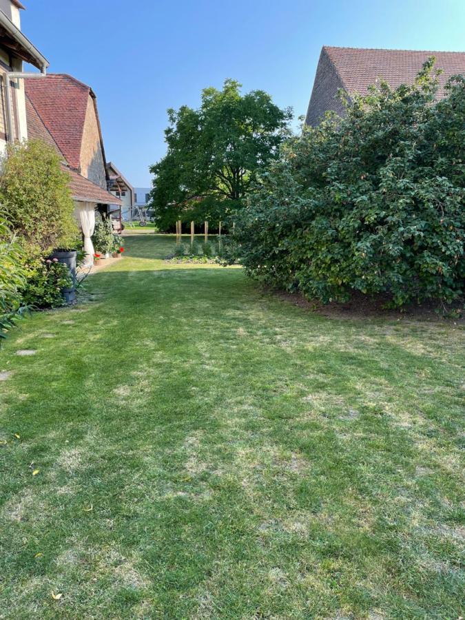 Gite La Maison De Jules Muntzenheim Eksteriør bilde